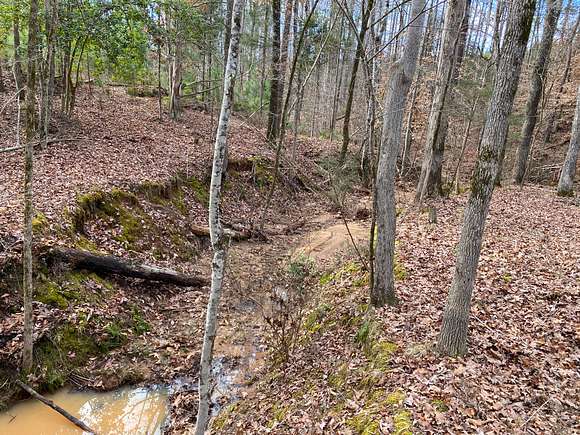 7.5 Acres of Recreational Land for Sale in Hodges, South Carolina