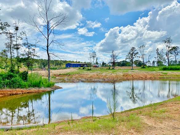 59.6 Acres of Recreational Land & Farm for Sale in Magnolia, Mississippi