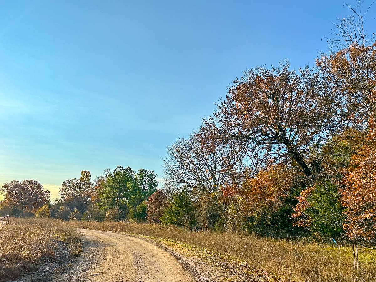 699 Acres of Land for Sale in Avery, Texas