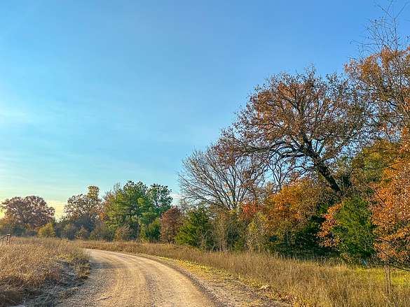699 Acres of Land for Sale in Avery, Texas
