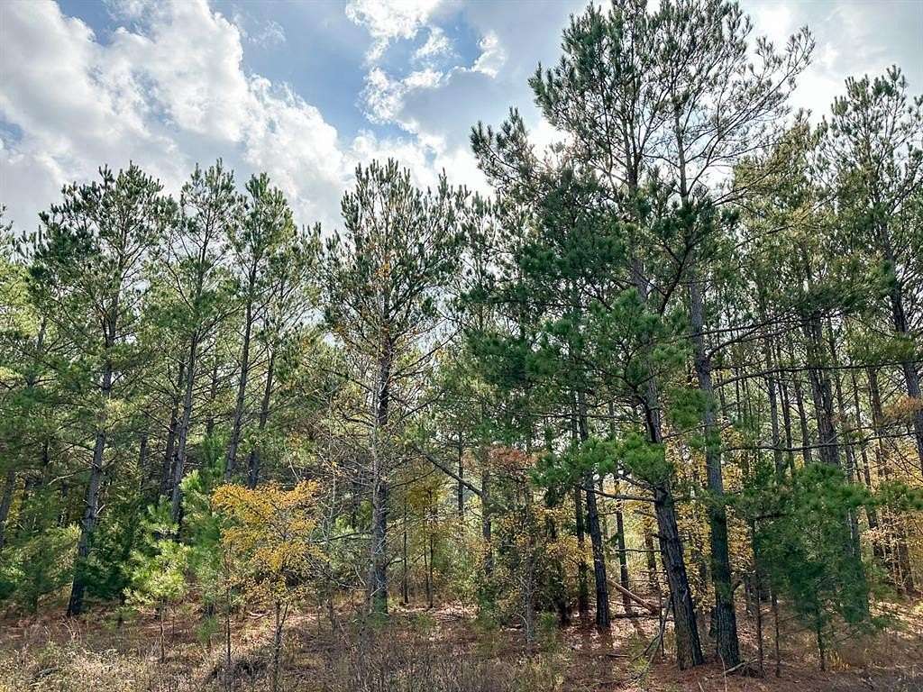 146 Acres of Recreational & Residential Land for Sale in Hughes Springs, Texas