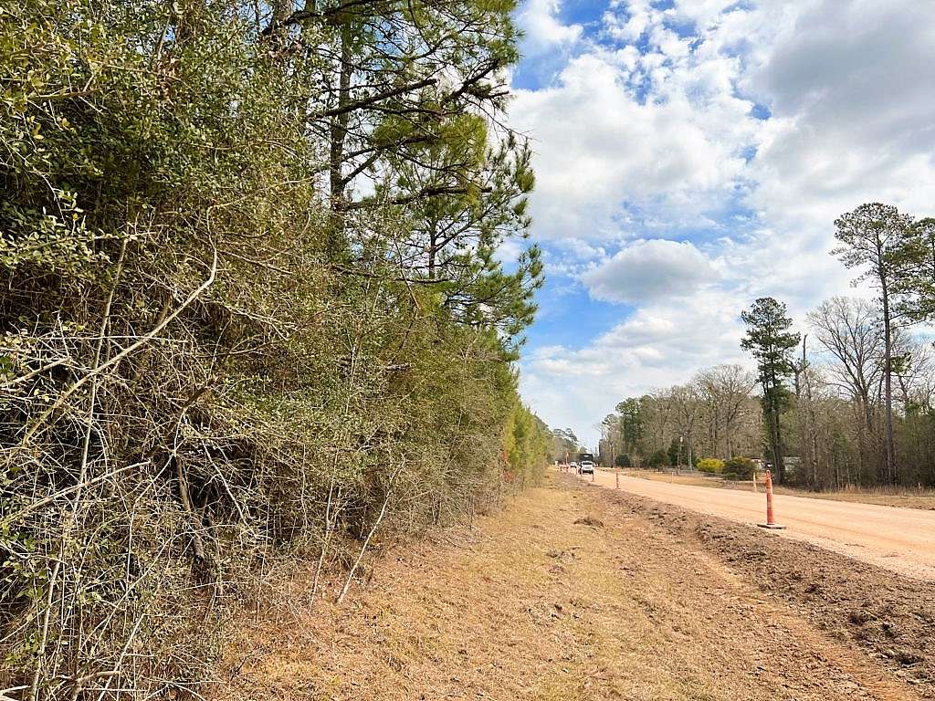 23 Acres of Recreational Land & Farm for Sale in Town Bluff, Texas