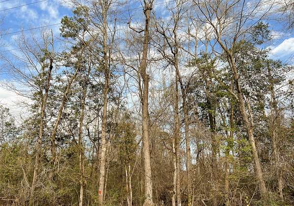 23 Acres of Land for Sale in Spurger, Texas