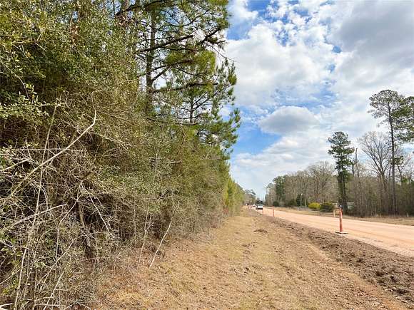 38 Acres of Agricultural Land for Sale in Town Bluff, Texas