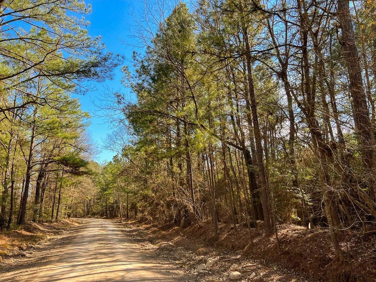 52 Acres of Recreational Land for Sale in Corrigan, Texas