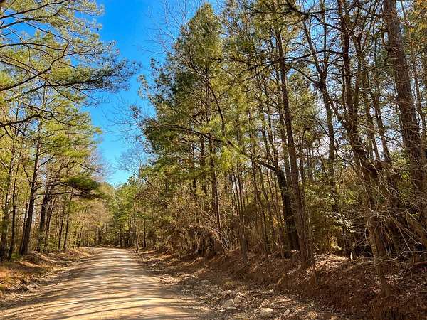 52 Acres of Recreational Land for Sale in Corrigan, Texas