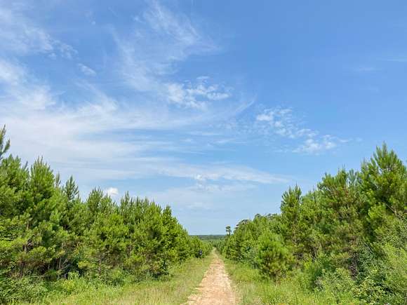 283 Acres of Recreational Land & Farm for Sale in Leggett, Texas