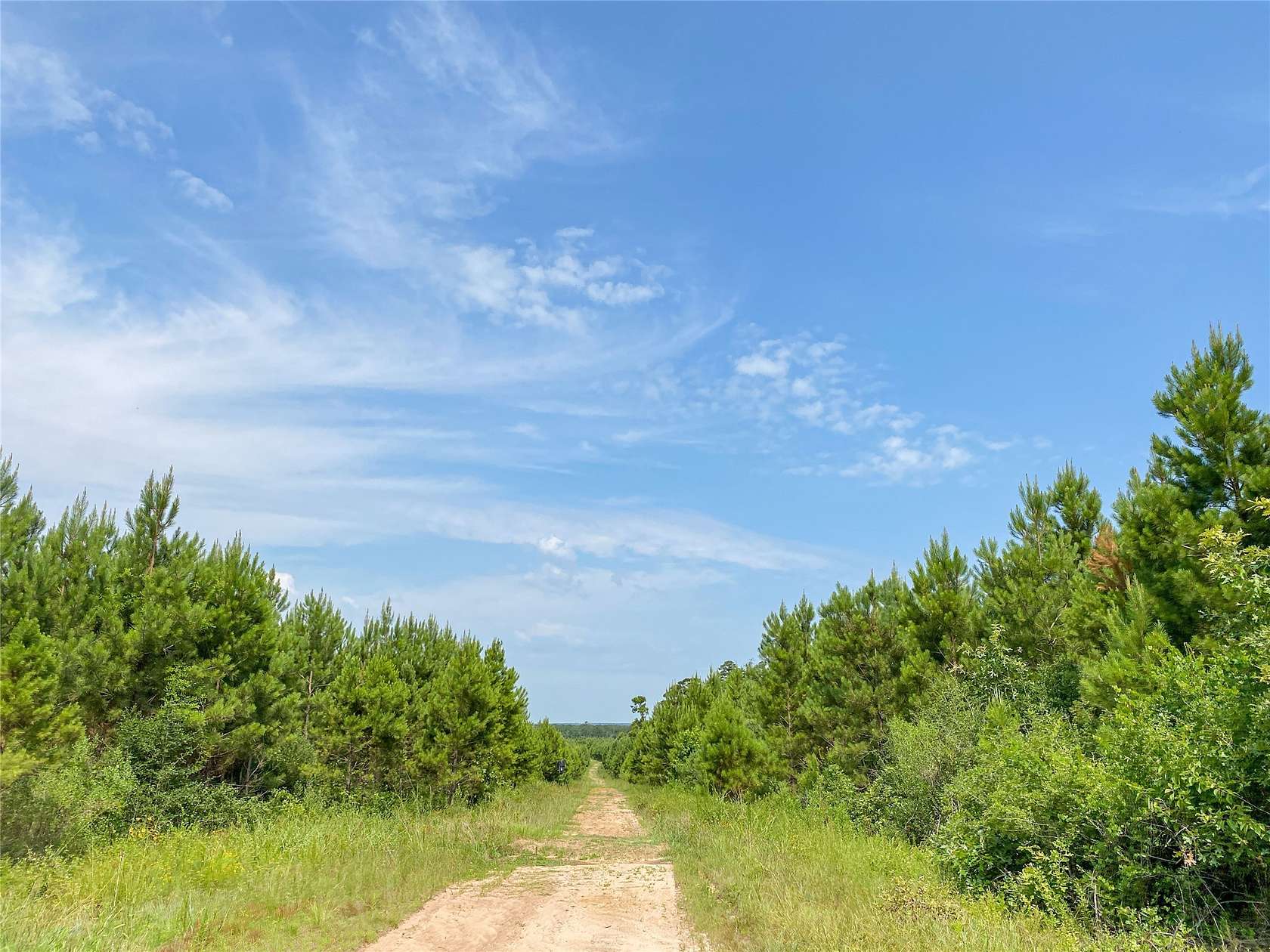 388 Acres of Recreational Land for Sale in Leggett, Texas