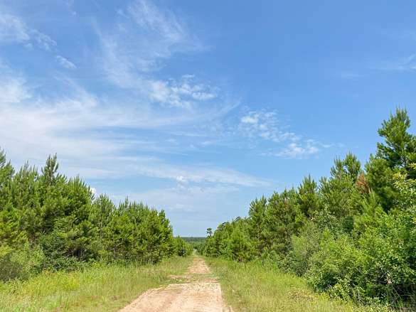 488 Acres of Recreational Land & Farm for Sale in Leggett, Texas
