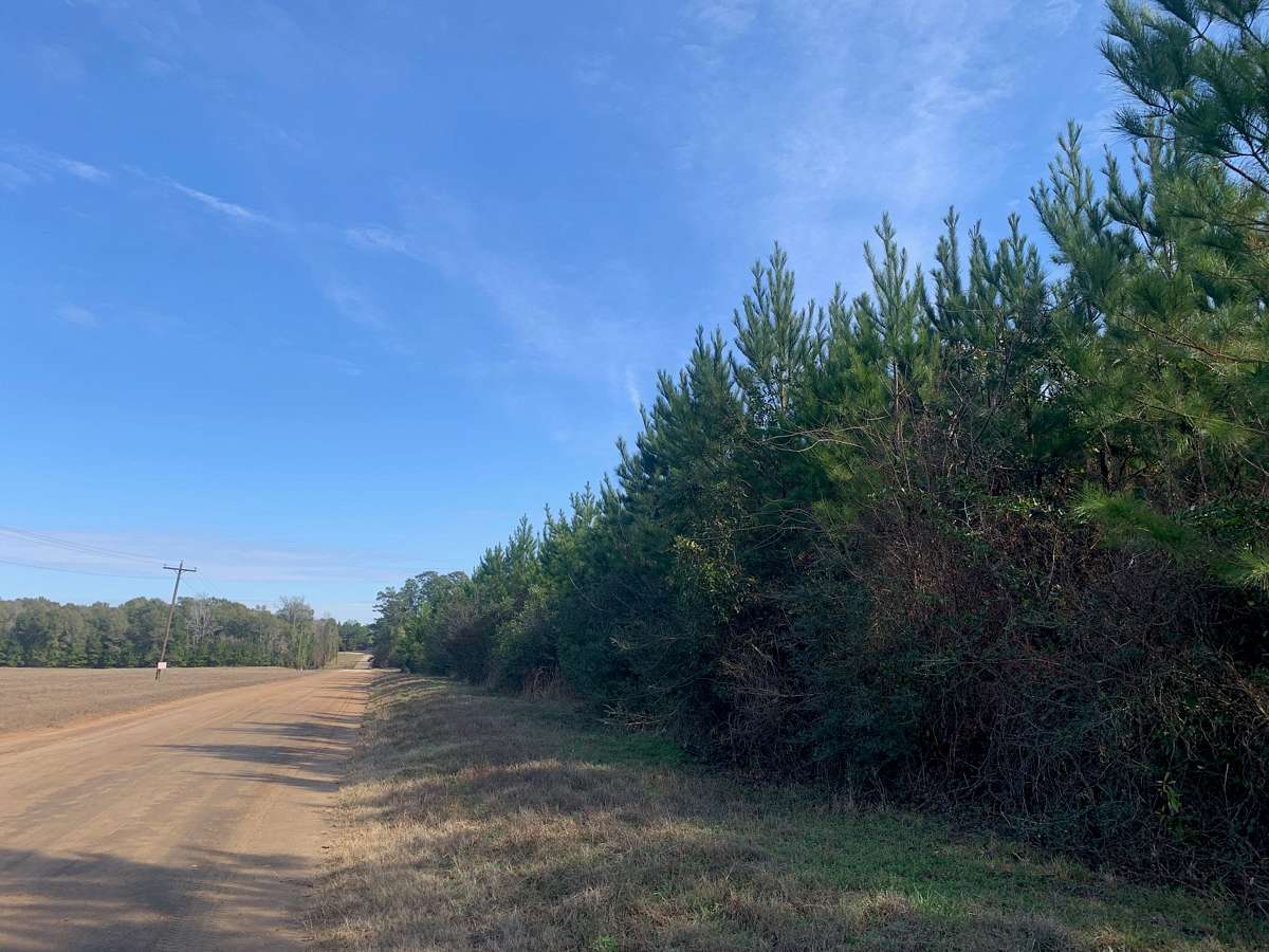 42 Acres of Recreational Land & Farm for Sale in Livingston, Texas