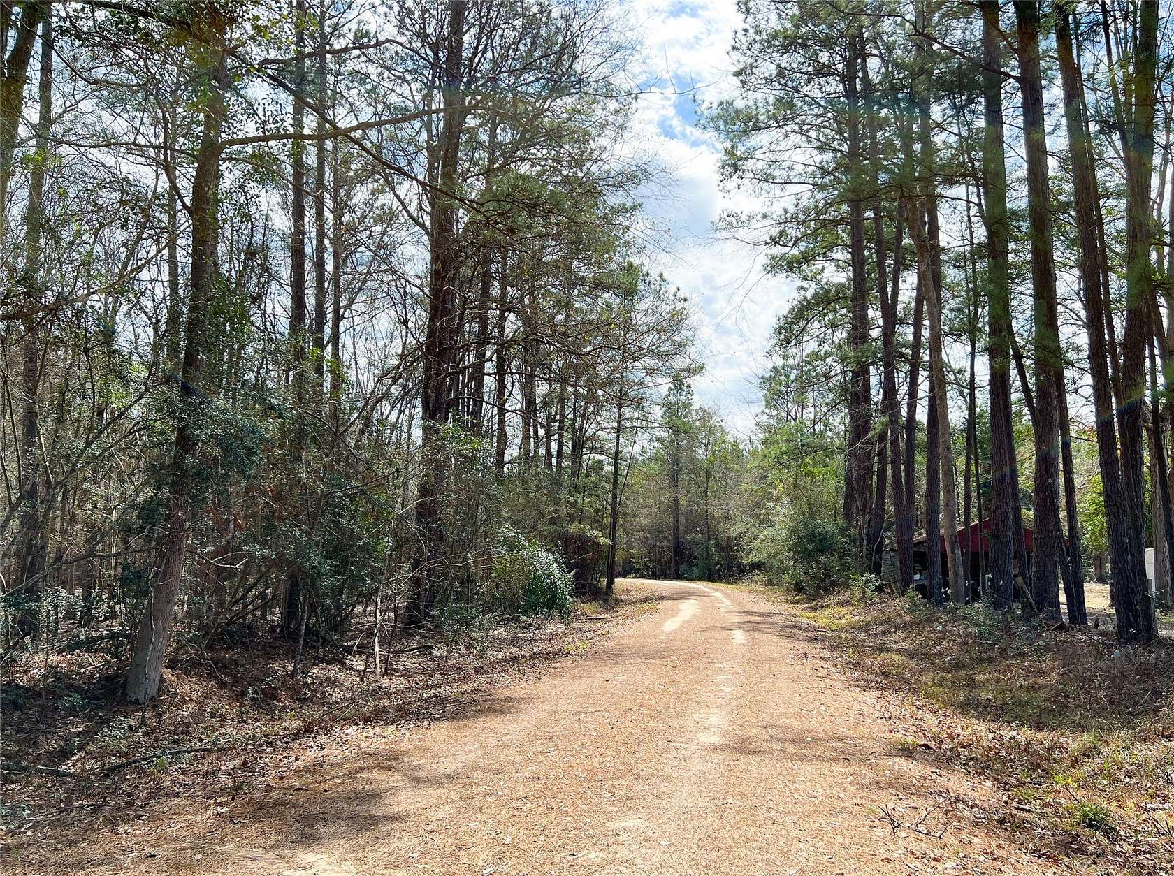 22 Acres of Land for Sale in Spurger, Texas