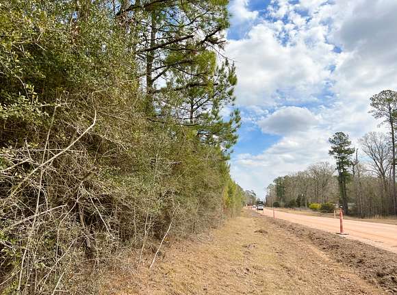 21 Acres of Land for Sale in Town Bluff, Texas