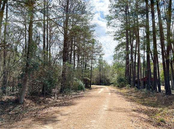 21 Acres of Agricultural Land for Sale in Town Bluff, Texas