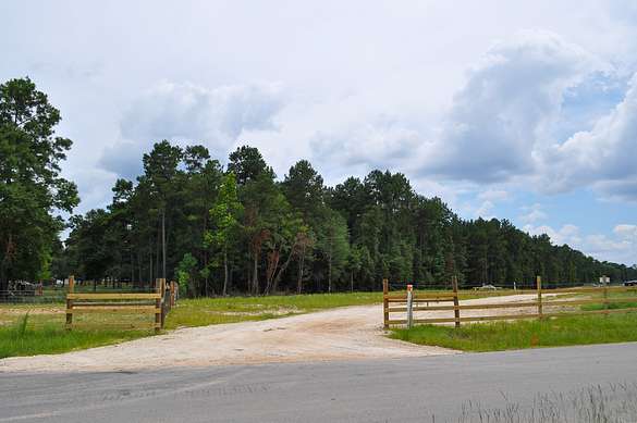 80.9 Acres of Recreational Land & Farm for Sale in Conroe, Texas