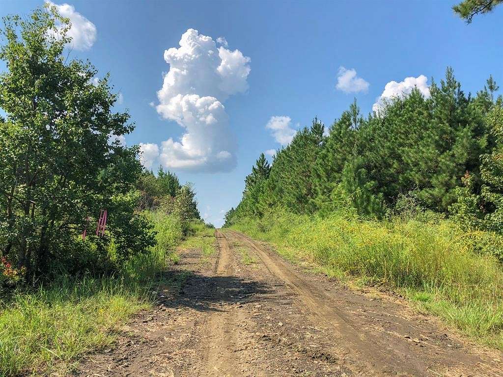 667 Acres of Recreational Land for Sale in Woodville, Texas