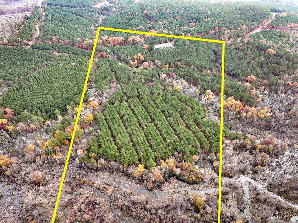 17.129 Acres of Agricultural Land for Sale in Avinger, Texas