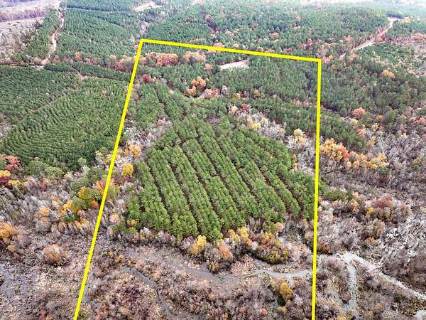 17.1 Acres of Land for Sale in Avinger, Texas