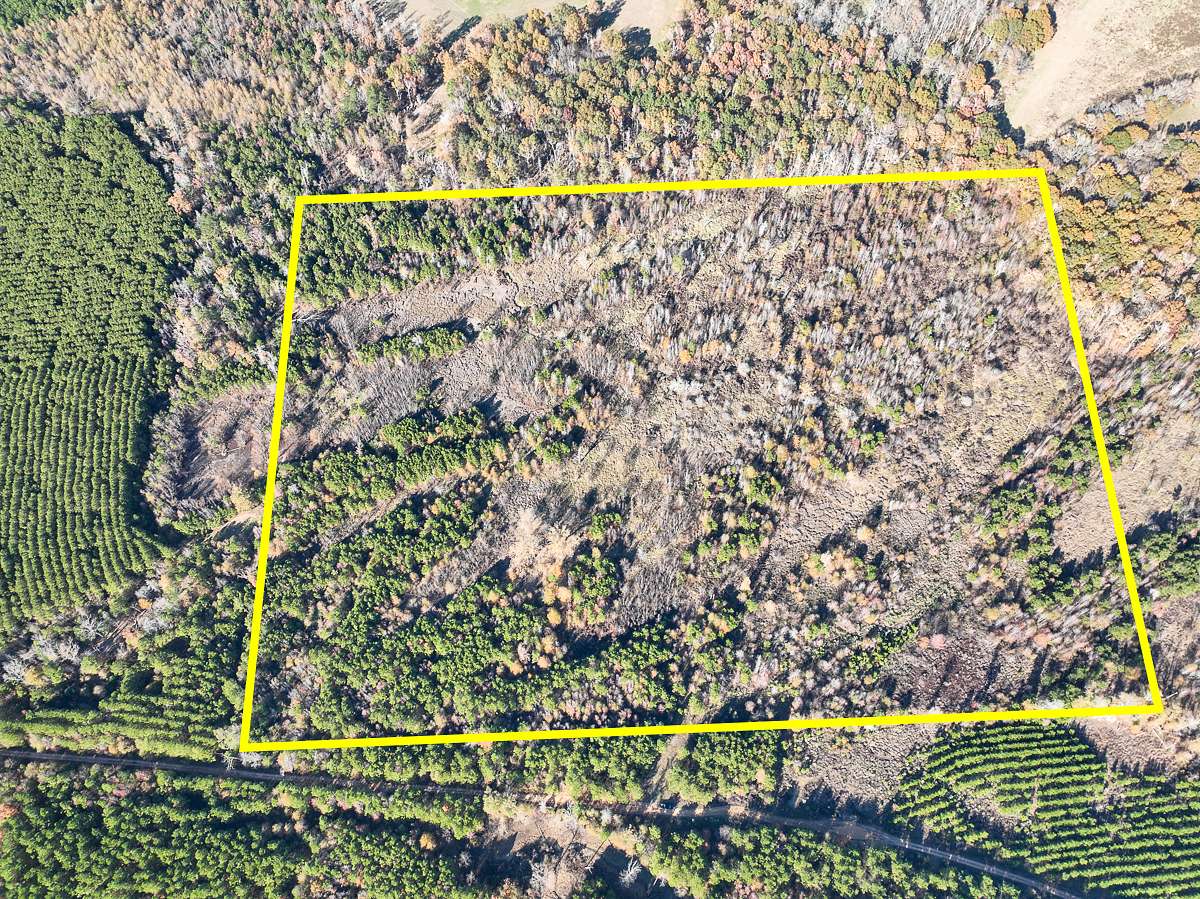46 Acres of Recreational Land for Sale in Douglass, Texas