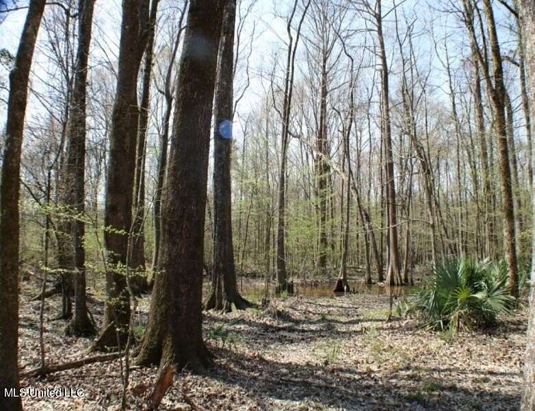 83.5 Acres of Recreational Land for Sale in Carthage, Mississippi