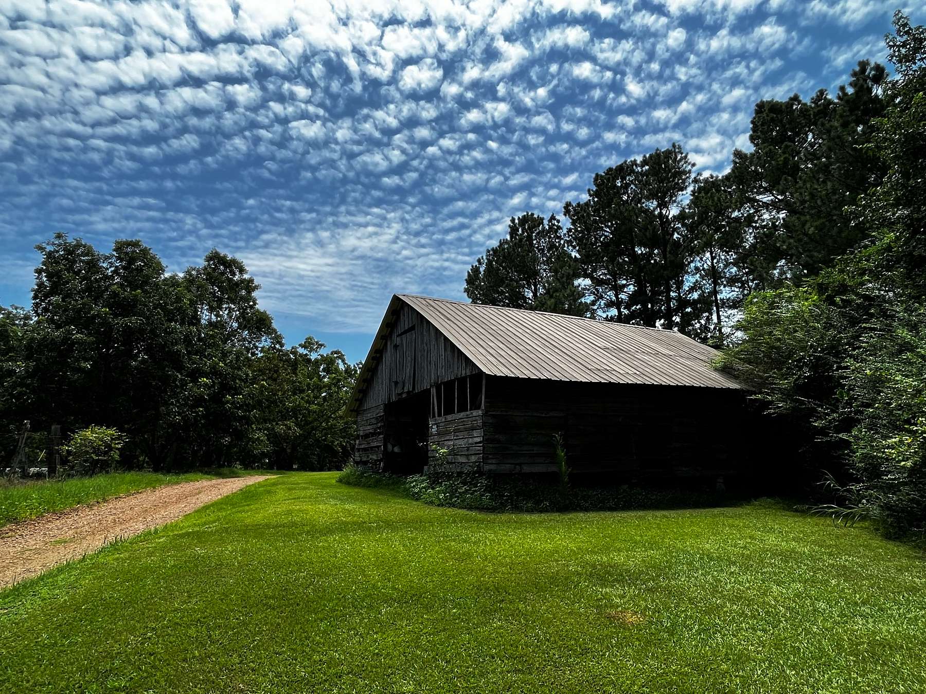 80 Acres of Recreational Land & Farm for Sale in Kosciusko, Mississippi