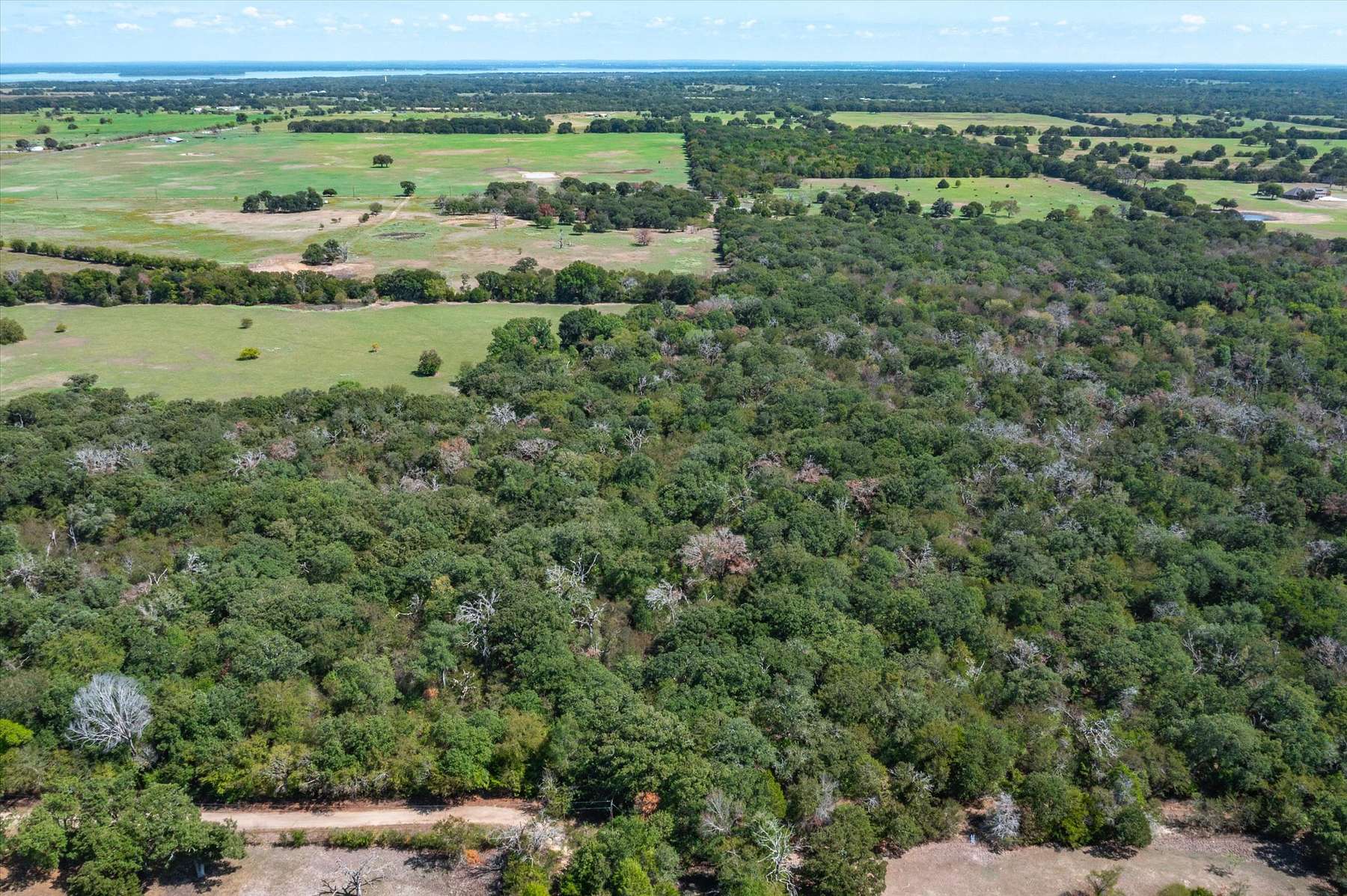 14 Acres of Recreational Land for Sale in Kemp, Texas