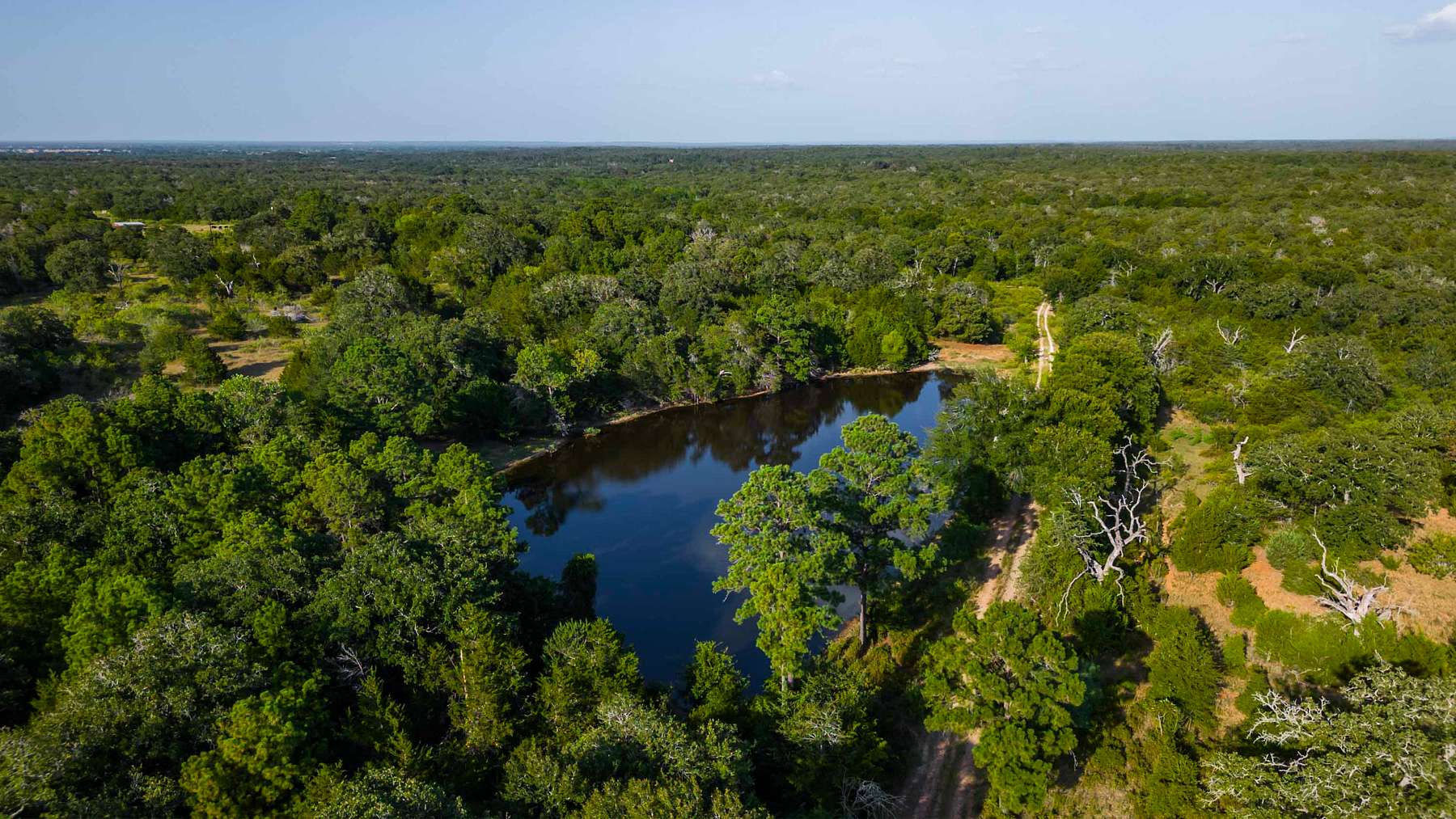 500 Acres of Land for Sale in Smithville, Texas