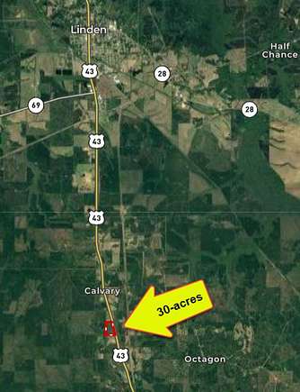 30 Acres of Recreational Land & Farm for Sale in Linden, Alabama