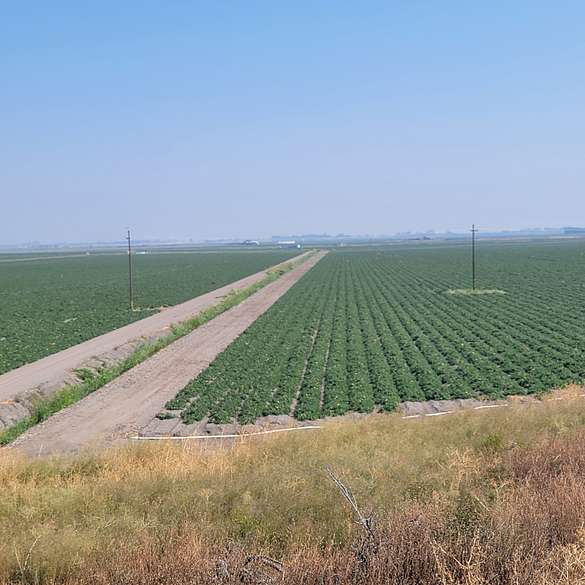819 Acres of Land for Sale in Walnut Grove, California