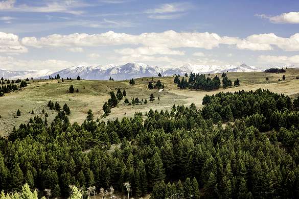 157 Acres of Recreational Land & Farm for Sale in Livingston, Montana