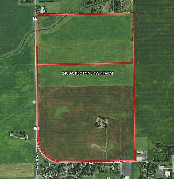 240 Acres of Recreational Land for Sale in Peotone, Illinois