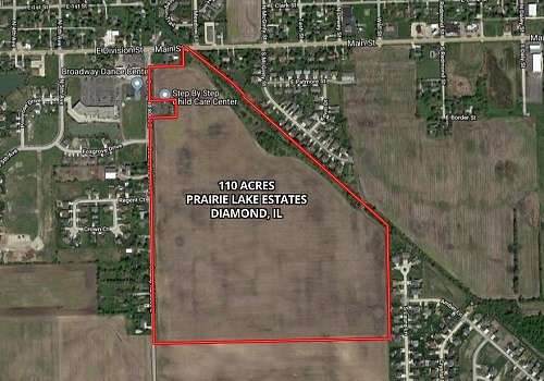 110 Acres of Land for Sale in Diamond, Illinois
