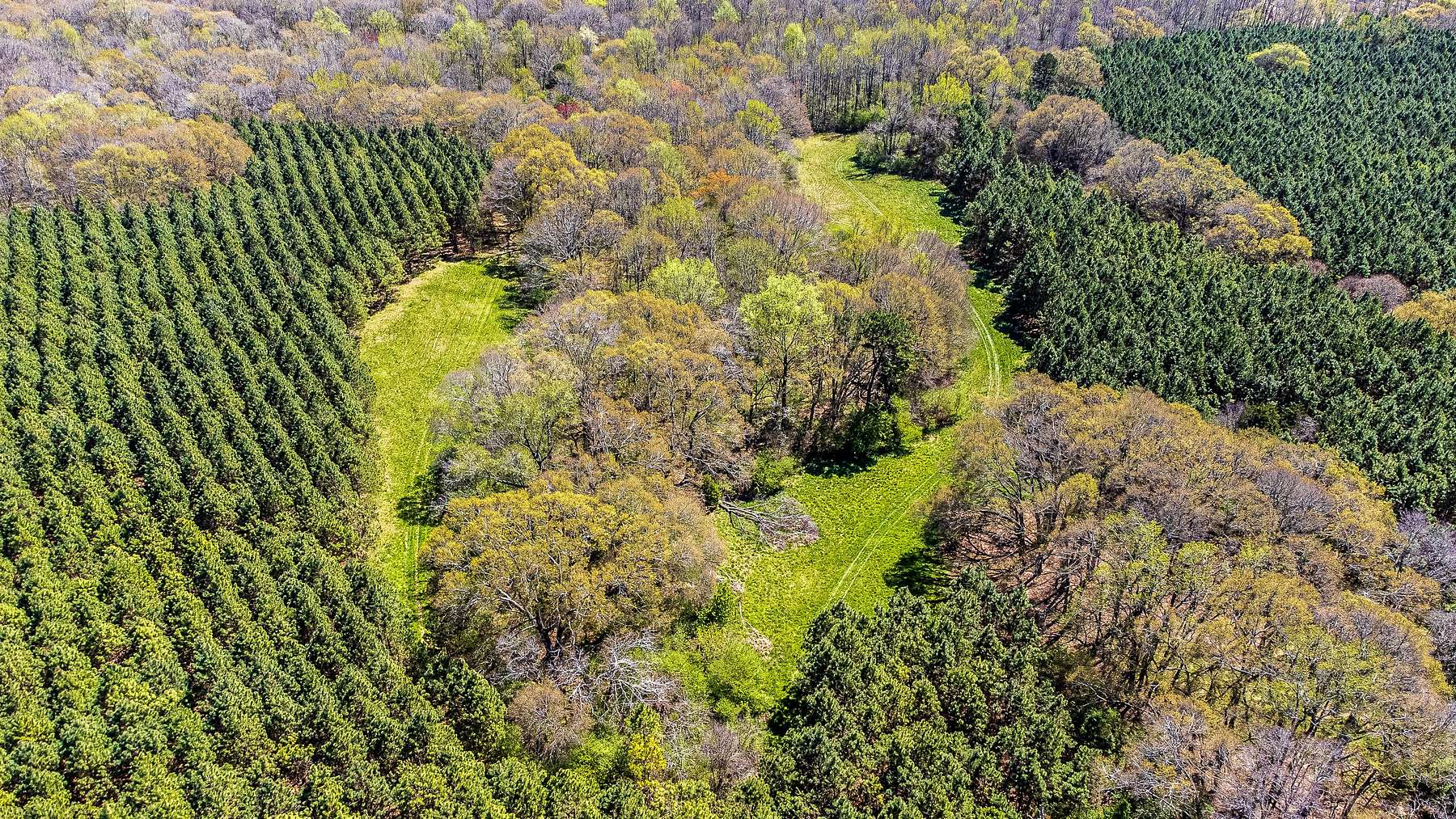 224 Acres of Recreational Land & Farm for Sale in Nicholson, Georgia