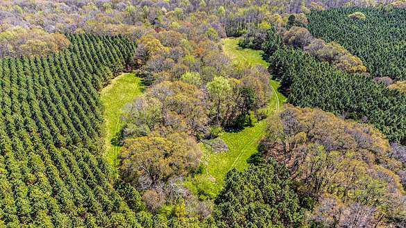 224 Acres of Recreational Land & Farm for Sale in Nicholson, Georgia