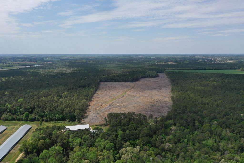 38 Acres of Recreational Land for Sale in Keener, North Carolina
