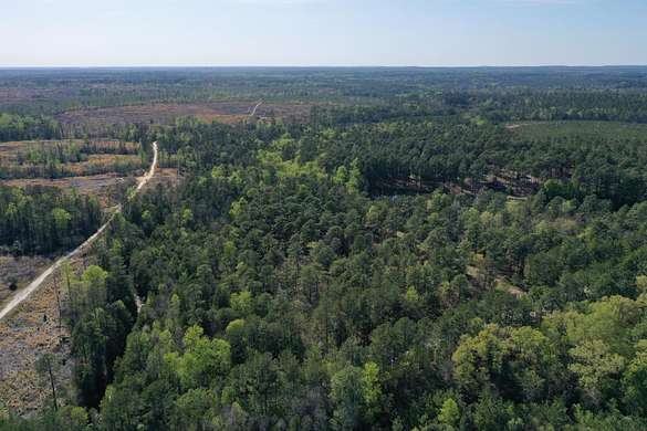 128 Acres of Recreational Land for Sale in Rockingham, North Carolina