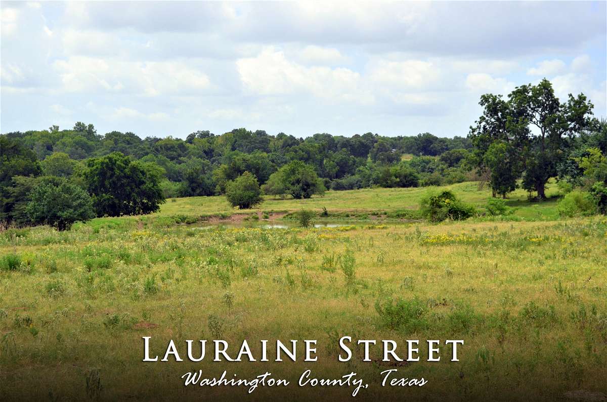 156 Acres of Land for Sale in Brenham, Texas
