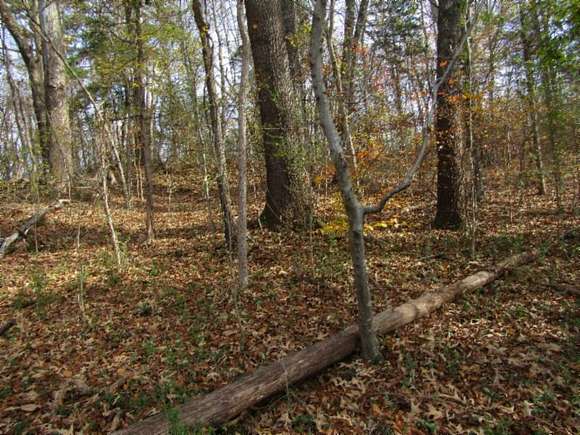 0.68 Acres of Land for Sale in Sparta, Tennessee