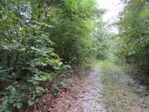 5 Acres of Recreational Land for Sale in Celina, Tennessee