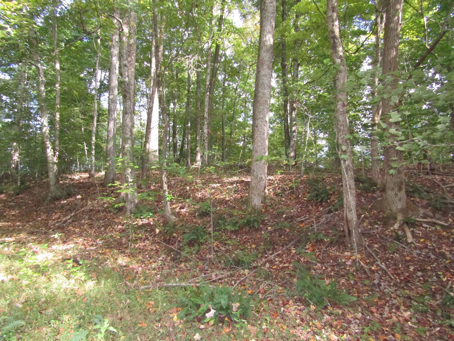 10 Acres of Recreational Land for Sale in Gainesboro, Tennessee