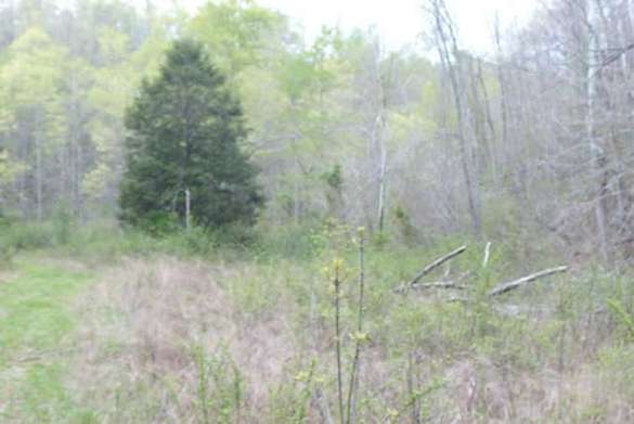 18.7 Acres of Land for Sale in Tompkinsville, Kentucky