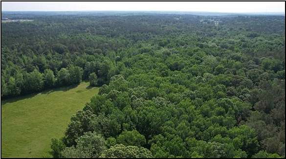 344 Acres of Recreational Land for Sale in Oxford, Mississippi