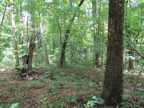 4 Acres of Land for Sale in Monterey, Tennessee