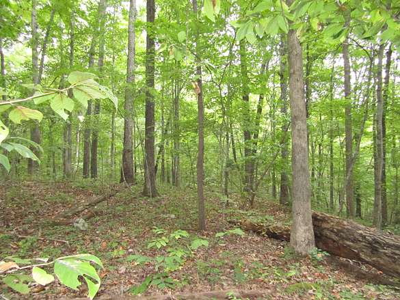 5.2 Acres of Land for Sale in Jamestown, Tennessee