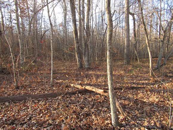 4.2 Acres of Land for Sale in Monterey, Tennessee