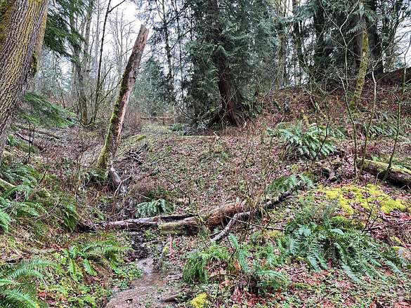 4.8 Acres of Land for Sale in Enumclaw, Washington