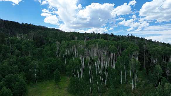 5 Acres of Recreational Land for Sale in Cimarron, Colorado