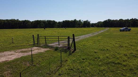 101 Acres of Land for Sale in Oakdale, Louisiana