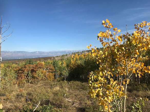 3.5 Acres of Recreational Land for Sale in Montrose, Colorado
