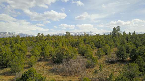 39.4 Acres of Land for Sale in Ridgway, Colorado