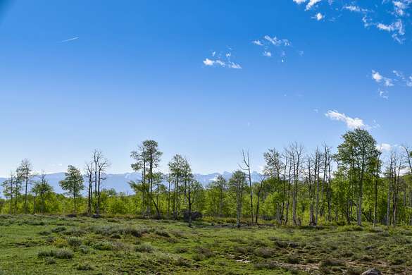 7.7 Acres of Recreational Land for Sale in Montrose, Colorado